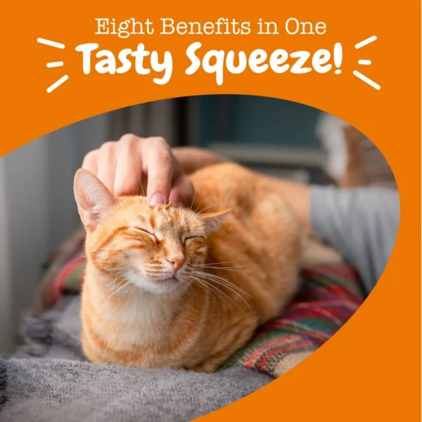 Zesty Paws - Image 7