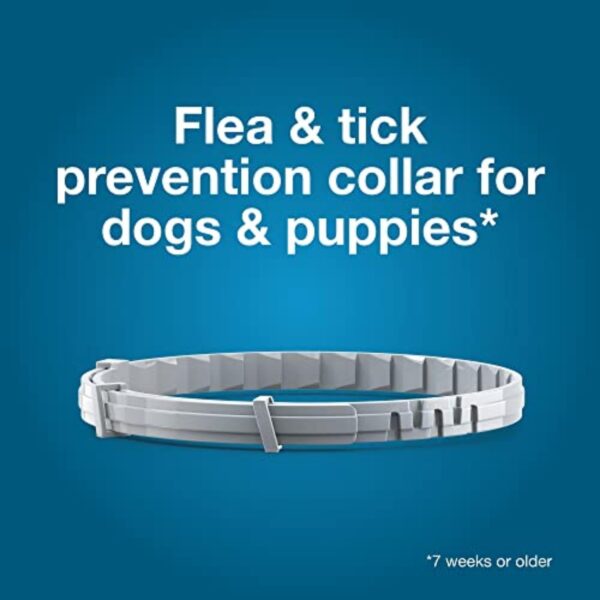 Seresto Large Dog Vet-Recommended Flea & Tick Treatment & Prevention Collar for Dogs Over 18 lbs. | 8 Months Protection - Image 6