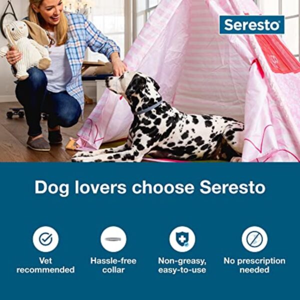 Seresto Large Dog Vet-Recommended Flea & Tick Treatment & Prevention Collar for Dogs Over 18 lbs. | 8 Months Protection - Image 7