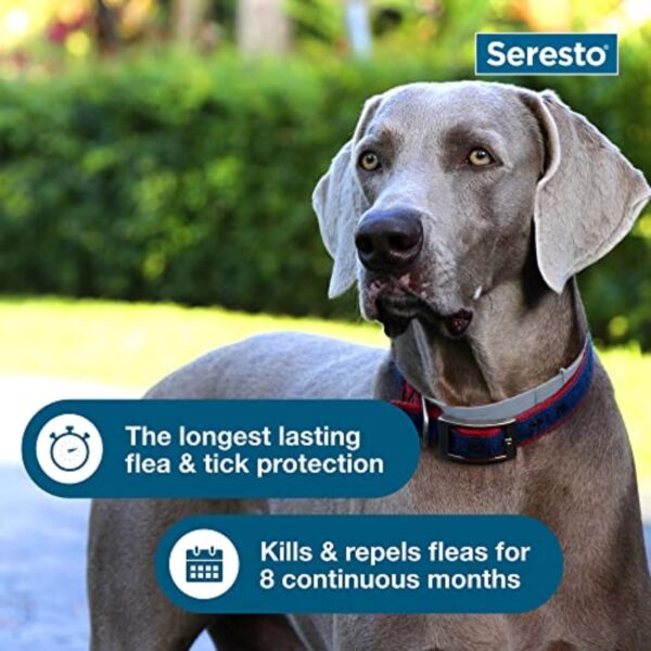 Seresto Large Dog Vet-Recommended Flea & Tick Treatment & Prevention Collar for Dogs Over 18 lbs. | 8 Months Protection - Image 4