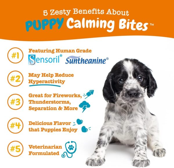 Zesty Paws Flea and Tick Spray for Dogs - Kill Fleas, Ticks & Their Eggs - Veterinarian Formulated - Soothes Itchy & Irritated Dog Skin - Cedarwood Oil, Rosemary Oil & Peppermint Oil - Image 8