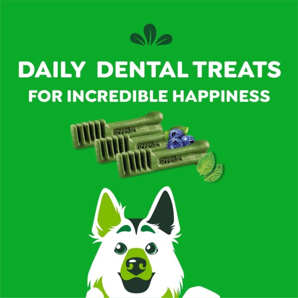 Greenies Large Dental Dog Treats, 3-Flavor Variety Pack, (3) 12 oz. Pouches, (24 Treats) - Image 8