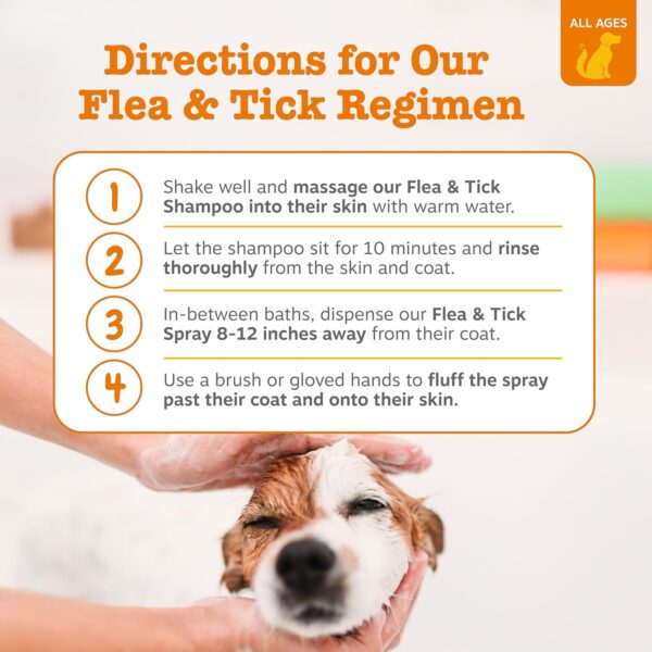Zesty Paws Flea and Tick Spray for Dogs - Kill Fleas, Ticks & Their Eggs - Veterinarian Formulated - Soothes Itchy & Irritated Dog Skin - Cedarwood Oil, Rosemary Oil & Peppermint Oil - Image 3
